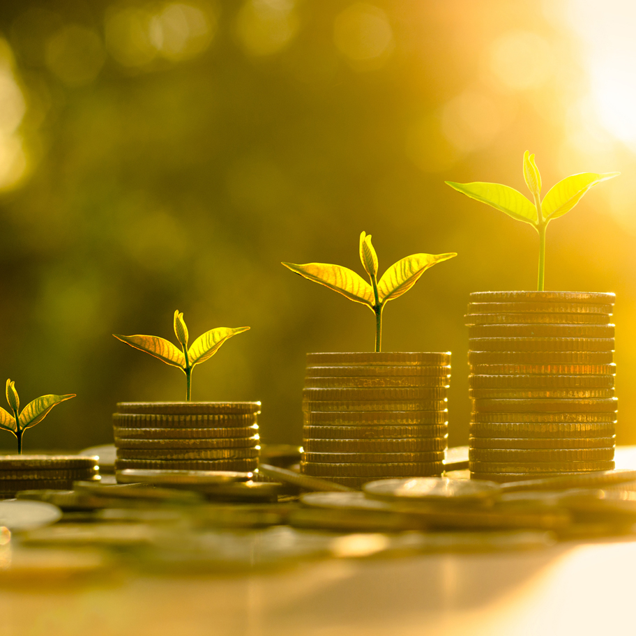 Tre växande plantor spirar ur staplar av guldfärgade mynt, arrangerade i stigande ordning från vänster till höger. Bilden är upplyst av ett varmt gyllene ljus, med en suddig bakgrund av grönska, vilket symboliserar ekonomisk tillväxt, hållbara investeringar och finansiell utveckling.